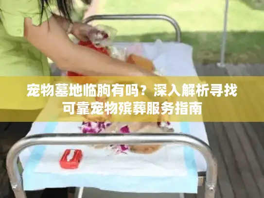 宠物墓地临朐有吗？深入解析寻找可靠宠物殡葬服务指南