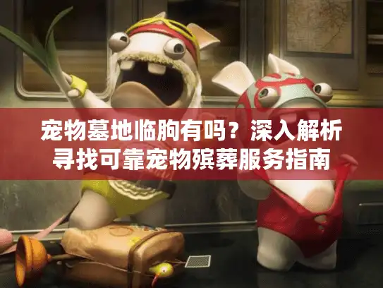 宠物墓地临朐有吗？深入解析寻找可靠宠物殡葬服务指南