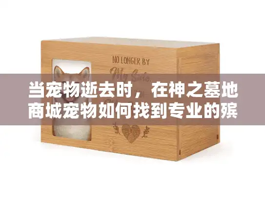 当宠物逝去时，在神之墓地商城宠物如何找到专业的殡葬服务？