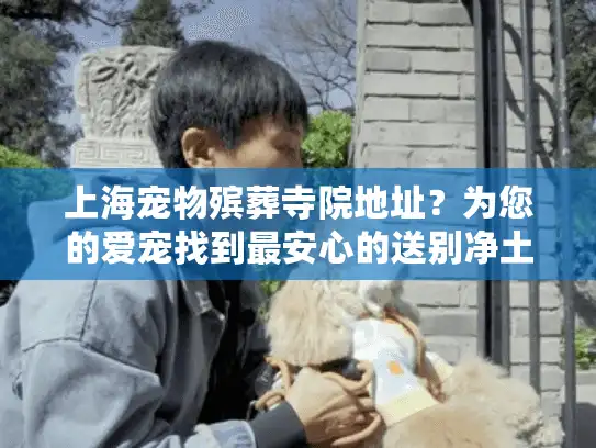上海宠物殡葬寺院地址？为您的爱宠找到最安心的送别净土