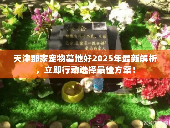 天津那家宠物墓地好2025年最新解析，立即行动选择最佳方案！