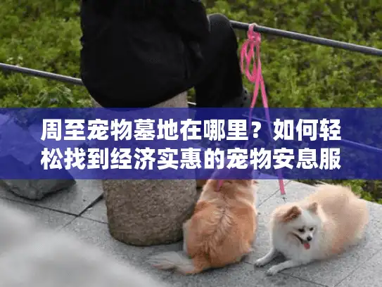 周至宠物墓地在哪里？如何轻松找到经济实惠的宠物安息服务