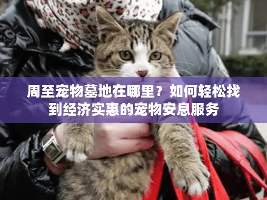 周至宠物墓地在哪里？如何轻松找到经济实惠的宠物安息服务