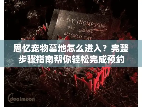 思忆宠物墓地怎么进入？完整步骤指南帮你轻松完成预约