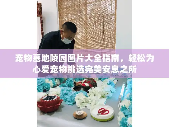 宠物墓地陵园图片大全指南，轻松为心爱宠物挑选完美安息之所