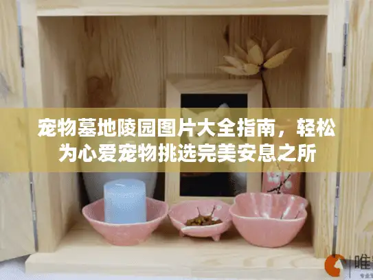 宠物墓地陵园图片大全指南，轻松为心爱宠物挑选完美安息之所