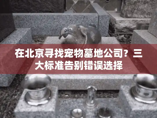 在北京寻找宠物墓地公司？三大标准告别错误选择