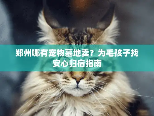 郑州哪有宠物墓地卖？为毛孩子找安心归宿指南