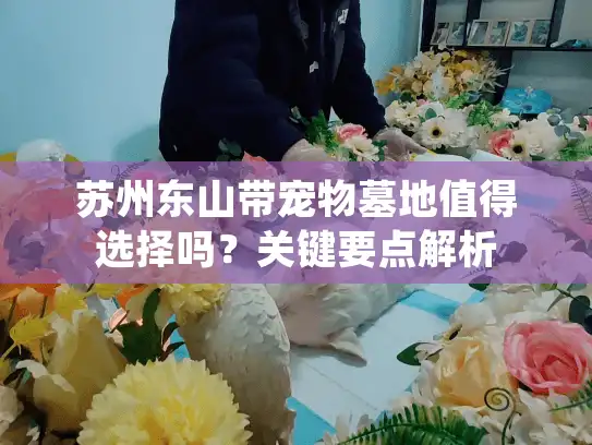苏州东山带宠物墓地值得选择吗？关键要点解析