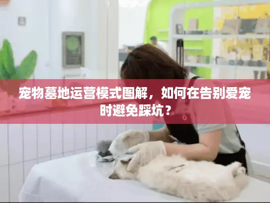 宠物墓地运营模式图解，如何在告别爱宠时避免踩坑？