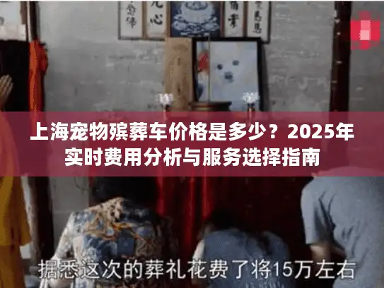 上海宠物殡葬车价格是多少？2025年实时费用分析与服务选择指南