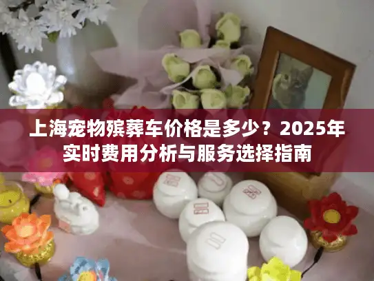 上海宠物殡葬车价格是多少？2025年实时费用分析与服务选择指南