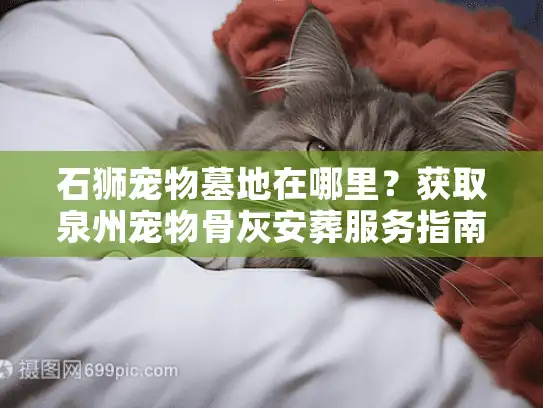 石狮宠物墓地在哪里？获取泉州宠物骨灰安葬服务指南