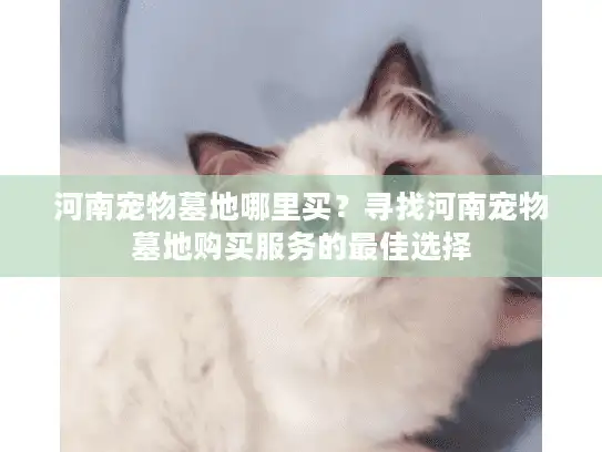 河南宠物墓地哪里买？寻找河南宠物墓地购买服务的最佳选择