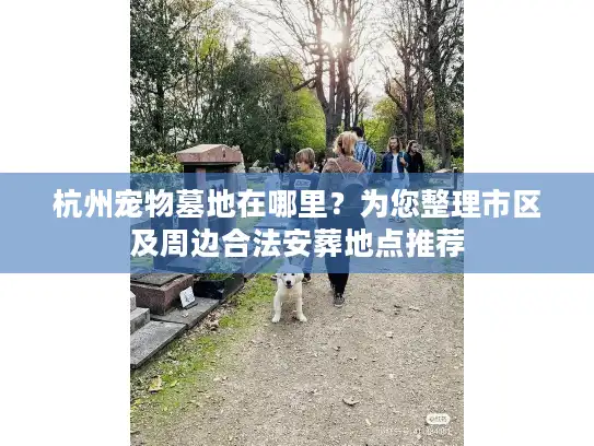 杭州宠物墓地在哪里？为您整理市区及周边合法安葬地点推荐