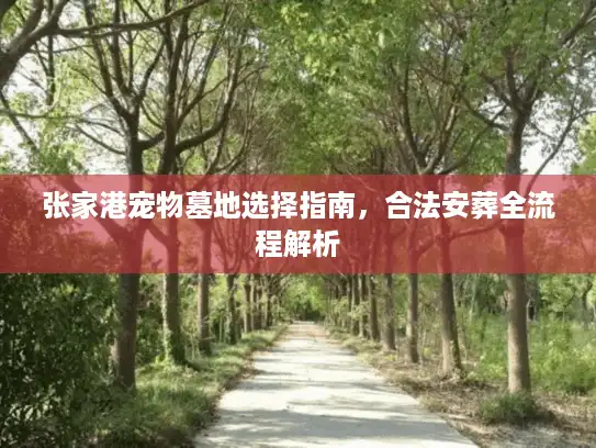 张家港宠物墓地选择指南，合法安葬全流程解析