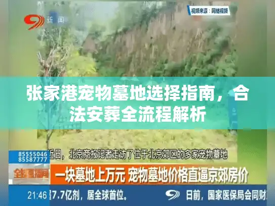 张家港宠物墓地选择指南，合法安葬全流程解析