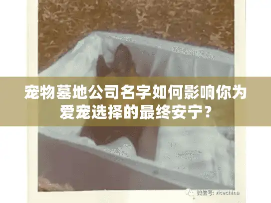 宠物墓地公司名字如何影响你为爱宠选择的最终安宁？