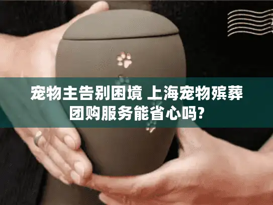 宠物主告别困境 上海宠物殡葬团购服务能省心吗?