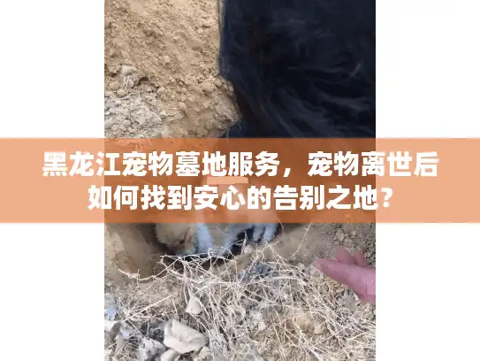 黑龙江宠物墓地服务，宠物离世后如何找到安心的告别之地？