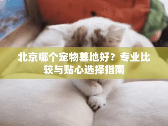 北京哪个宠物墓地好？专业比较与贴心选择指南