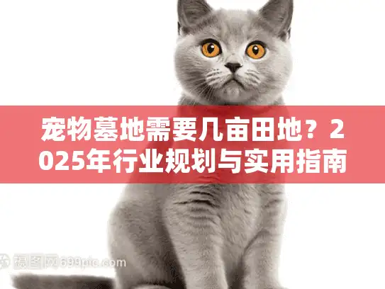 宠物墓地需要几亩田地？2025年行业规划与实用指南