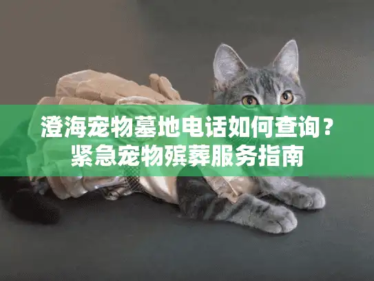 澄海宠物墓地电话如何查询？紧急宠物殡葬服务指南