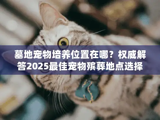 墓地宠物培养位置在哪？权威解答2025最佳宠物殡葬地点选择