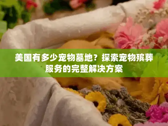 美国有多少宠物墓地？探索宠物殡葬服务的完整解决方案