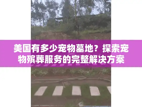 美国有多少宠物墓地？探索宠物殡葬服务的完整解决方案