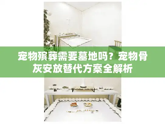 宠物殡葬需要墓地吗？宠物骨灰安放替代方案全解析