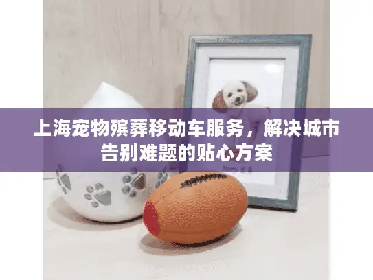 上海宠物殡葬移动车服务，解决城市告别难题的贴心方案