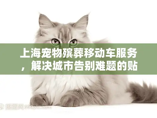 上海宠物殡葬移动车服务，解决城市告别难题的贴心方案