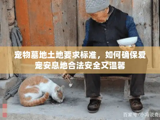 宠物墓地土地要求标准，如何确保爱宠安息地合法安全又温馨