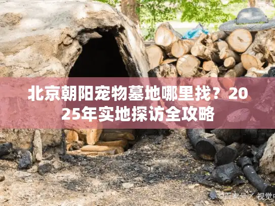 北京朝阳宠物墓地哪里找？2025年实地探访全攻略