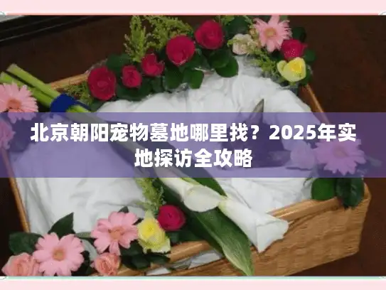 北京朝阳宠物墓地哪里找？2025年实地探访全攻略