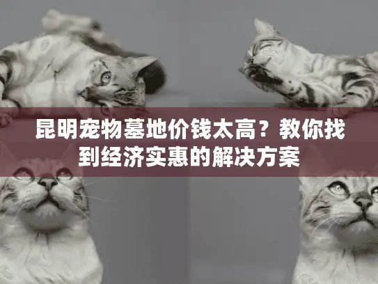 昆明宠物墓地价钱太高？教你找到经济实惠的解决方案
