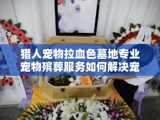猎人宠物拉血色墓地专业宠物殡葬服务如何解决宠物后事难题？
