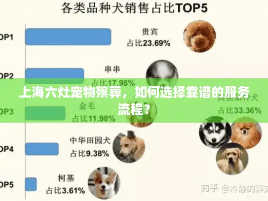 上海六灶宠物殡葬，如何选择靠谱的服务流程？