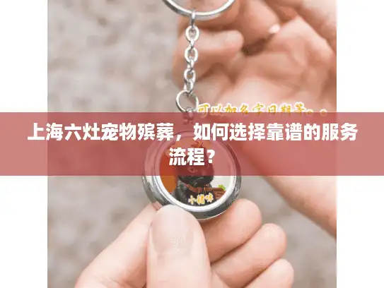 上海六灶宠物殡葬，如何选择靠谱的服务流程？