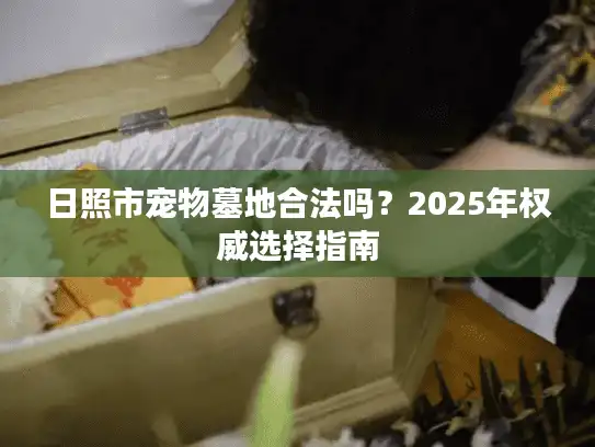日照市宠物墓地合法吗？2025年权威选择指南
