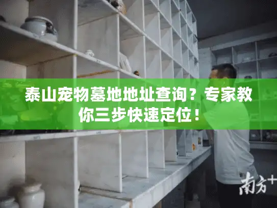 泰山宠物墓地地址查询？专家教你三步快速定位！