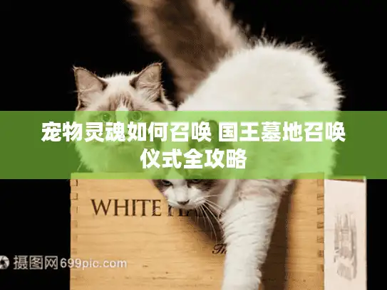 宠物灵魂如何召唤 国王墓地召唤仪式全攻略
