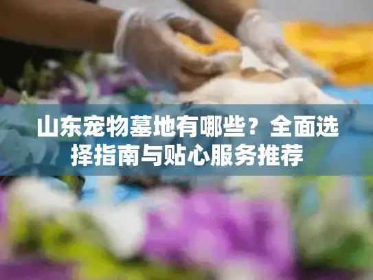 山东宠物墓地有哪些？全面选择指南与贴心服务推荐