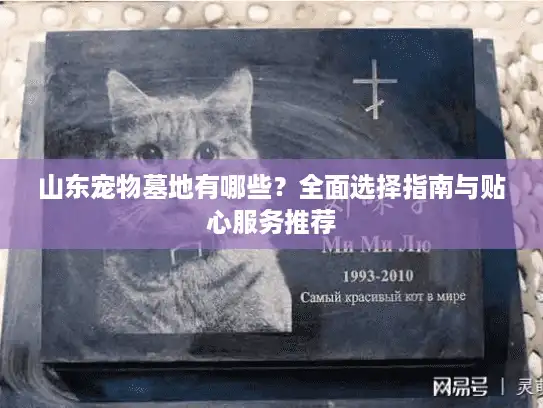 山东宠物墓地有哪些？全面选择指南与贴心服务推荐