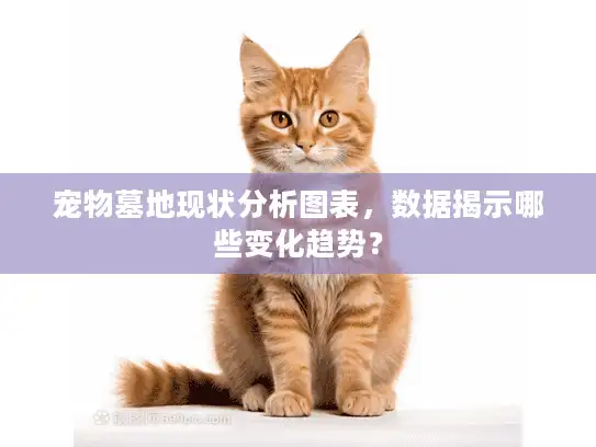 宠物墓地现状分析图表，数据揭示哪些变化趋势？