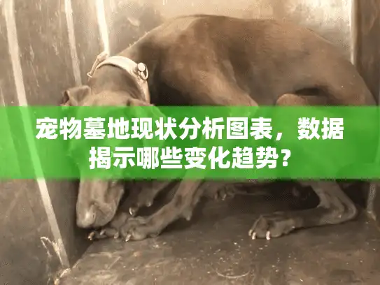 宠物墓地现状分析图表，数据揭示哪些变化趋势？