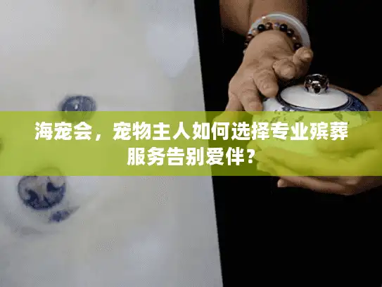 海宠会，宠物主人如何选择专业殡葬服务告别爱伴？
