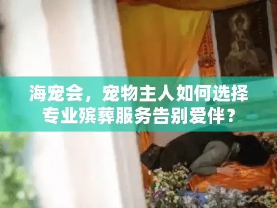 海宠会，宠物主人如何选择专业殡葬服务告别爱伴？