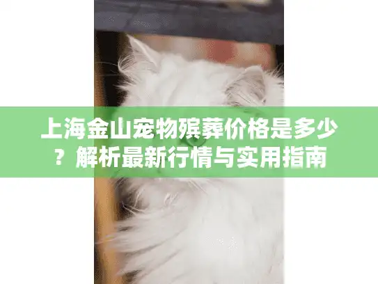 上海金山宠物殡葬价格是多少？解析最新行情与实用指南